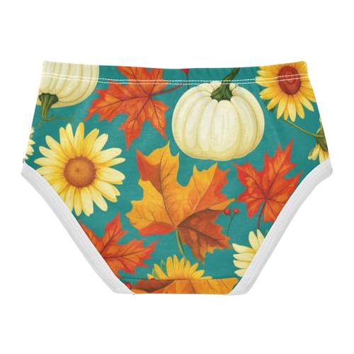 Toddler Underwear Custom 2t Cotton Little Girl Panties Cartoon Underpants Briefs Autumn Maple Leaf Pumpkins2