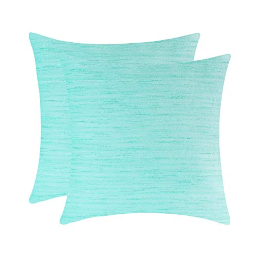 Image of The White Petals Mint Green Pillow Cases for Sofa, Couch & Bed (20x20 inch, Pack of 2)