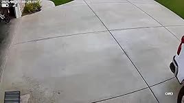 Review Image by Robert Milner Robert Milner