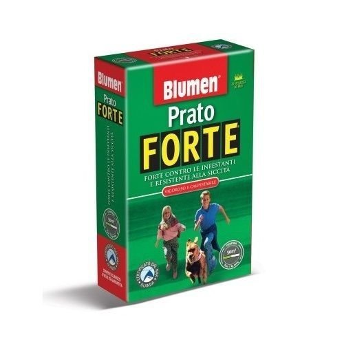Prato Forte Vigoroso E Calpestabile Blumen 500Gr