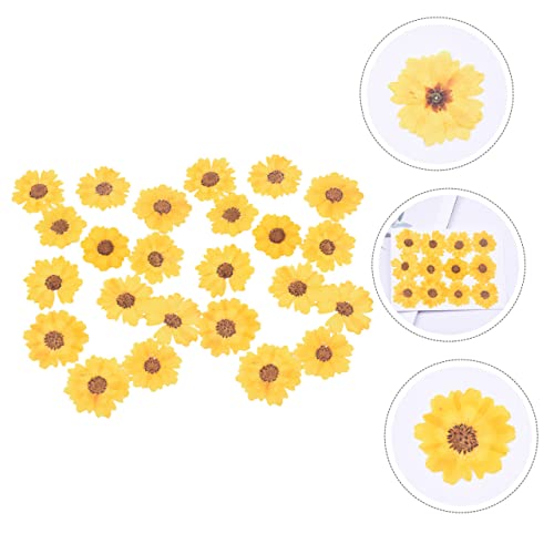 24 flores secas prensadas naturales para manualidades miniatura 7