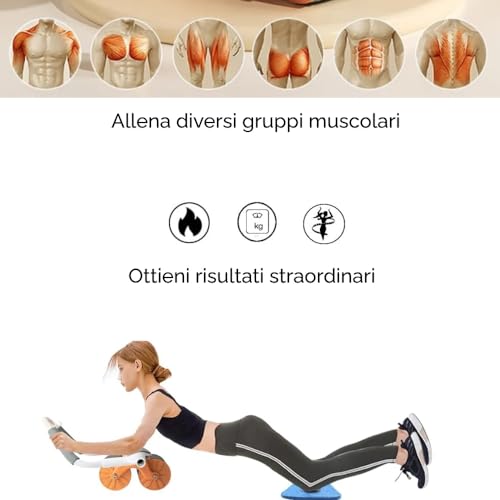 Rolo abdominal y rueda para ejercicios de core con retorno asistido 2