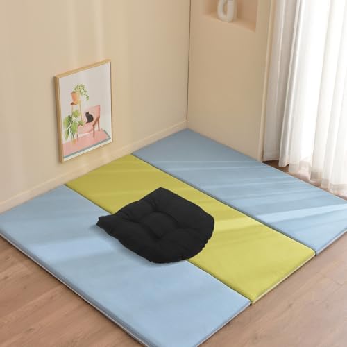 Coussins de chaise pour sol et tapis de sol de jardin (2 pcs)