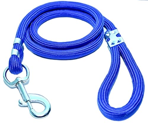 Image of Dog Buckle Leash, Dog Export Quality Nylon Easy to Control Buckle Everyday Neck Collar Belt and Hand Weaved Durable Training Rope Leash Set (Blue)