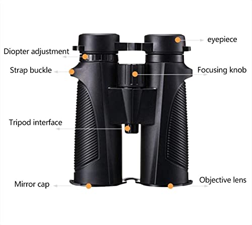 Binoculares grandes con ocular para niños y adultos 8x42 miniatura 2