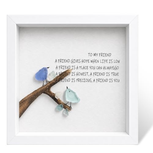 Truzoig Friendship Gifts for Women, Sea Glass Art Rainbow Birds Framed Wall Decor with Touching Poem, Handmade Sea Glass Decor for Best Friend Birthday Keepsake