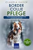 Border Collie Pflege: Pflege, Ernährung und Krankheiten rund um Deinen Border Collie