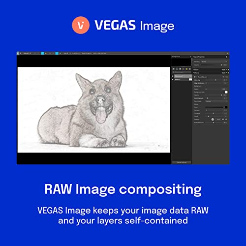VEGAS Post 20 - Video post production for creators | video editing software | video cutting software | Video Editor | Windows 10/11 PC | 1 license