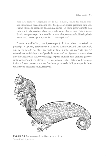 Olhar Atento: Como Incentivar os Alunos a Aprender Por Meio da Observação