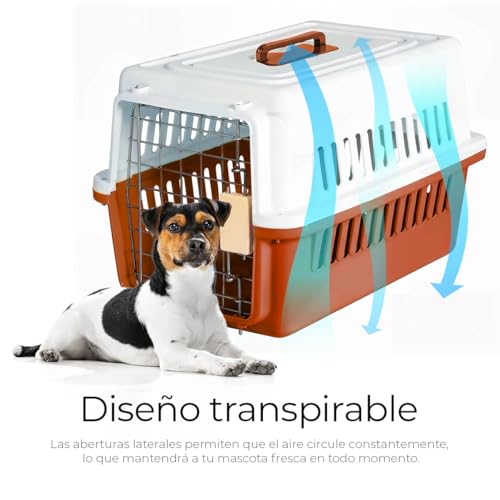 Reviews de Transportadora . 27 Imagen adicional