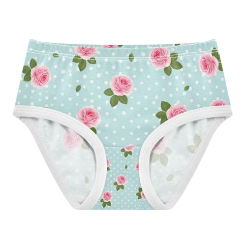 Toddler Panties, Pink Roses Blue Girls Cotton Underwear, 2–8 Years