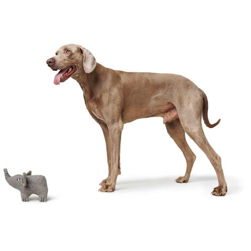 HUNTER Eiby Elephant Dog Toy, Grey, 19 cm, Polyester grey - Image 2