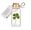 Trèfle à 4 feuilles porte-bonheur dans une fiole en verre pour porter chance, cadeau grigri pour célébrer amour, amitié ou pour un cabinet de curiosités #2