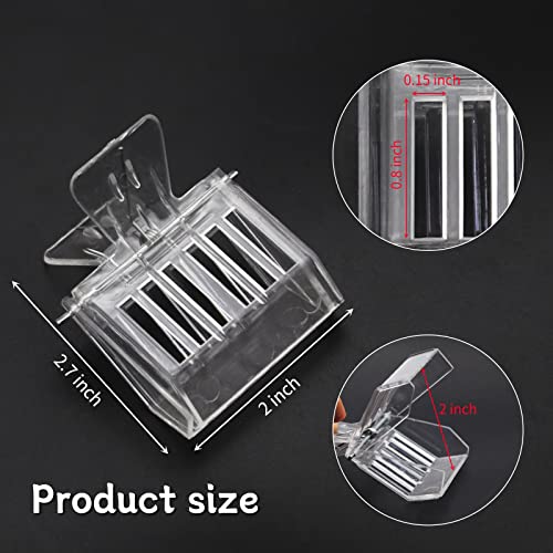 Abustle pig Pacote com 6 clipes apanhadores de gaiola de abelha rainha de plástico transparente kit