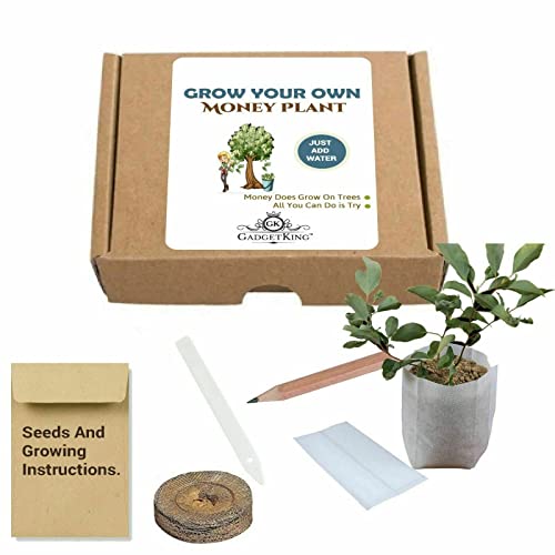 Grow Your Own Money Tree Plant Xmas Gift Idea Present for Him Husband Boyfriend Dad Men Man Her Wife Son Daughter Novelty Boss