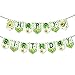 1pcs Avocado Theme Banner Party Supplies for Avocado Decorations Birthday Party Bunting Banner