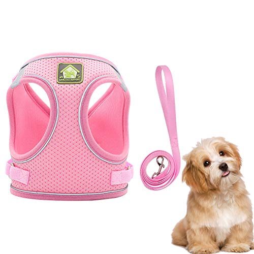 Acessórios para coleira de cachorro- Conjunto de colete e trela para cães Arreios para animais de es