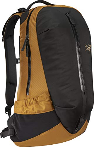 Arc'teryx Arro 22 バックパック (Realm)