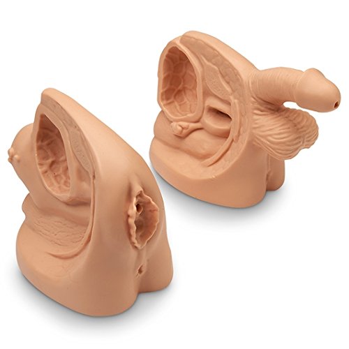 Nasco - Life/form Male & Female Catheter Model Set