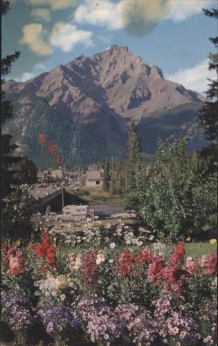 Cascade Mountain from Rock Gardens Banff Alberta Canada Original Vintage Postcard