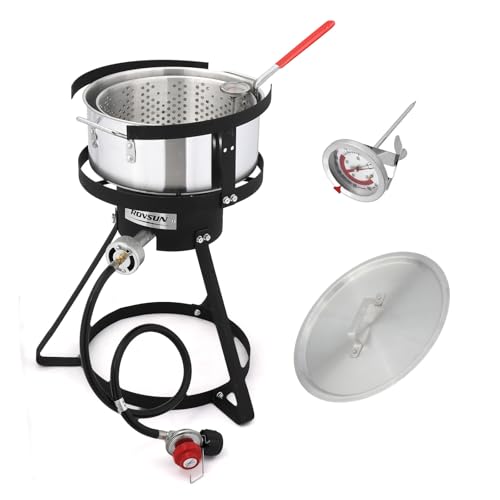 ROVSUN 10Qt Aluminum Fish Fryer Pot with Strainer Basket, Outdoor Fryer with 55,000 BTU Propane Gas Burner, Thermometer & Lid for Fish, Chicken Wings, Seafood Frying & Backyard Cooking