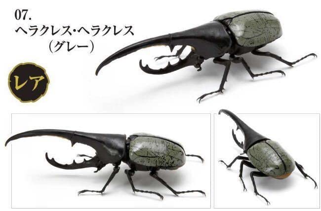 ガシャポン　いきもの大図鑑　かぶとむし 01 ヘラクレス・ヘラクレス　3種 Amazon.co.jp: いきもの大図鑑 かぶとむし01 ヘラクレス