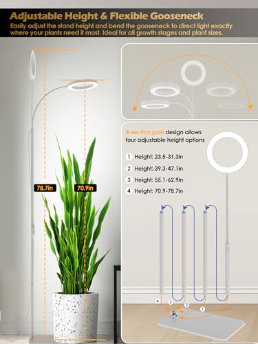 Image of 24W Grow Lights for Indoor Plants, Full Spectrum LED Plant Light With Stand | Dimmable, 3 Lighting Modes, 23 inch-79 inch Adjustable Height, Plant Growing Lamp with 3 /9 /12 /16H Timer, Black Single Head Floor Lamp