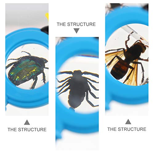 Toyvian Conjunto de Lupa de Amostra de Resina de Insetos 4 PeÃ§as Transparente VÃ¡rias Amostras de I