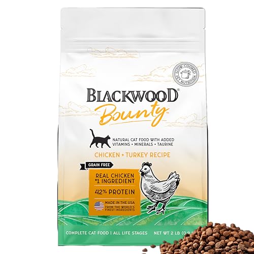 Blackwood Bounty Dry Cat Food, Chicken & Turkey Recipe for All Life Stages, 2 Pound Bag, High Protein, Grain Free
