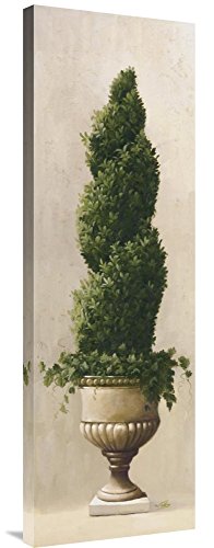 Global Gallery Budget GCS-119342-1236-142 Welby Roman Topiary I Gallery Wrap Giclee on Canvas Print Wall Art
