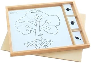 Montessori Botany Puzzle Activity Set