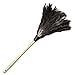 Boardwalk 23FD Professional Ostrich Feather Duster 13-Inch Handle