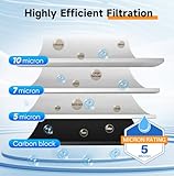 Zoom IMG-2 pureplus sistema di filtraggio dell Zoom IMG-2 pureplus sistema di filtraggio dell