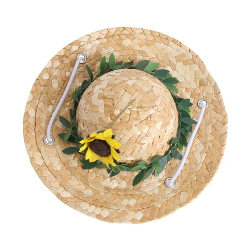 Operitacx ybgpČ߉\Xq fUC yʒʋCǍD ^Lp 悯ʂ oʐ^Be