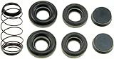 Dorman 351951 Rear Drum Brake Wheel Cylinder Kit Compatible with Select Chevrolet / GMC Models