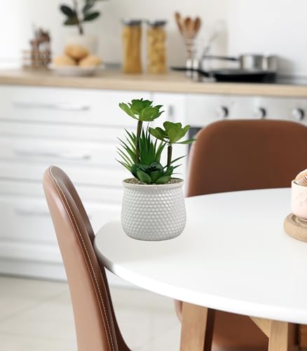 Image of Artificial Succulent Plant in White Ceramic Pot, Realistic Faux Greenery for Home Office Desk Tabletop Decor, Low Maintenance Long-Lasting Indoor Decorative Plant (A)