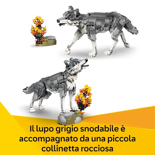 Creator 3 in 1 Animali della Foresta: Lupo Grigio - Animale Giocattolo Trasformabile in Falco o Procione - Decorazione Cameretta - Regalo di Compleanno per Bambine e Bambini da 8 Anni - 31393 - Lego - Immagine 3