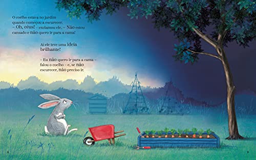 O coelho, o escuro e a lata de biscoitos