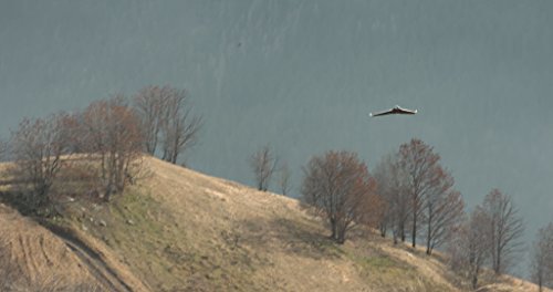 Parrot Disco FPV thumbnail 9