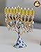 Ner Mitzvah Menorah Jelled Oil Cup Candles - Pre-Filled Hanukkah Chanukah Lights - Olive Oil with Cotton Wick in Glass Cup - Extra Small Size, 44 per Pack, Burns Approx. 1 Hour