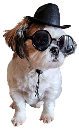 Set Disfraz Perro Retro Sombrero y Gafas T-S
