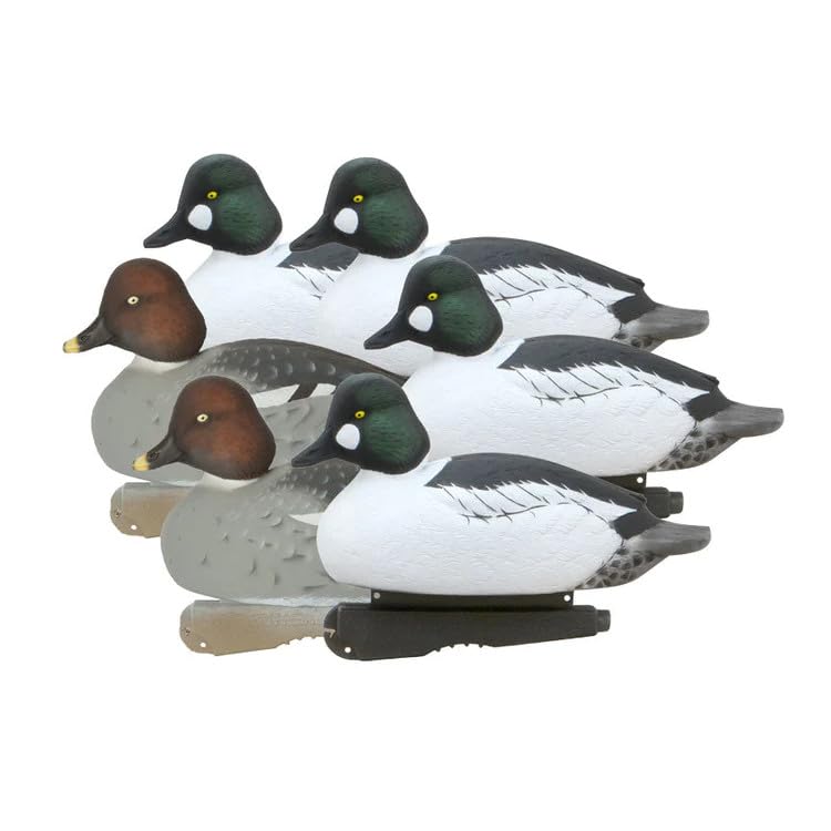 AveryGHG Hunter Series Over Size Goldeneyes – Foam Filled - Duck Decoys - 6 Pack - 77164