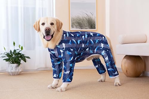 Kukaster Hundebody Nach Op