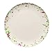 Rosenthal Brillance Fleurs Sauvages Plato Llano, Porcelana De Hueso, Multicolor, 27 cm
