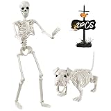 YUJUN 36'' Halloween Skeleton Decoration with Dog Skeleton, 3ft Full Body Posable Skeleton Realistic Plastic Bones Movable Joints for Halloween Party Yard Haunted House Props Indoor Outdoor Decor