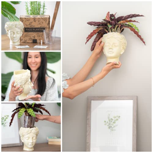 Head Planter For Flat Surface & Wall Mount - These Elegant Face Pots For Plants Come With Wall Hanging Hardware & Plastic Liner - Handmade Of Durable Resin For Indoors & Outdoors, Beige #TOP1