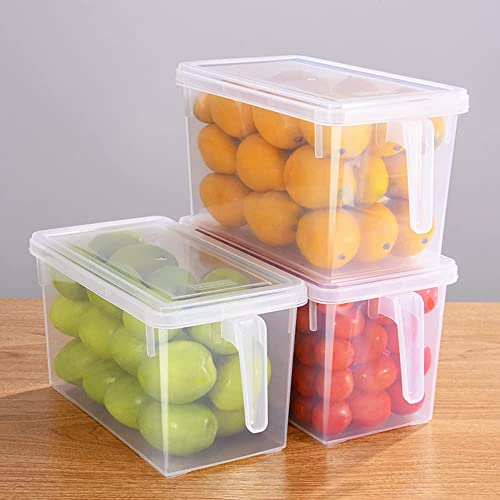 Image of Plastic Fridge Storage Organizer Container with Lid & Handle - 5L Transparent Refrigerator Organizer Box for Vegetables & Fruits (Pack of 1)