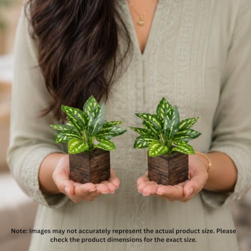 Image of DecoreBugs Artificial Real Touch Flower Plant with Pot (Pack of 2), 16 cm Height, Decorative Faux Floral Plant for Home, Office, Living Room, Bedroom, Table & Shelf Decor