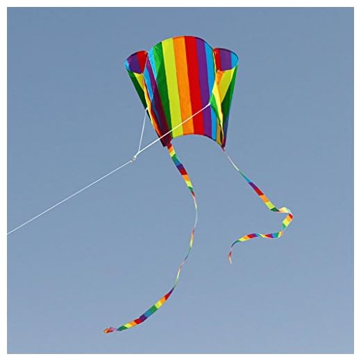 ewrw Regnbågsdrake, barn färgglad ficka kite-leksaker, utomhussport enkel linje flygande drakar för barn och vuxna, lätt flygblad med snöre