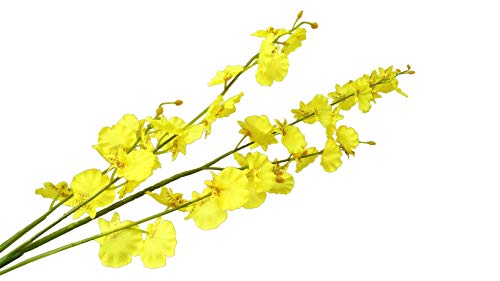 Omuygdd Artificial Flowers Orchids Silk Fake Flowers In Bulk, 12 Pcs (Each 38.5”), For Wedding Festive Party Home Office Decoration, Not Include Vase #TOP3
